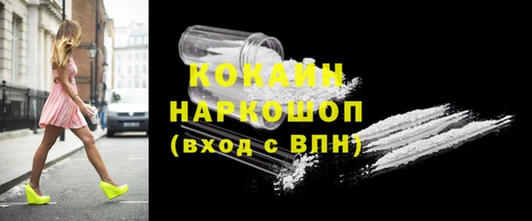бошки Алексин