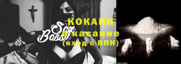 бошки Алексин