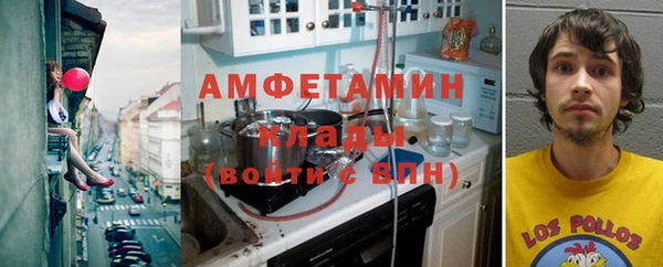 ECSTASY Алзамай