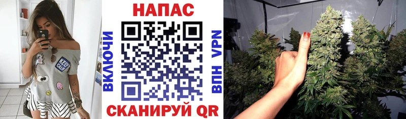 Бошки Шишки Amnesia  цена   Норильск 